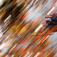 Illustration for article titled Petit Le Mans: The Unbelievably Gorgeous Über Gallery